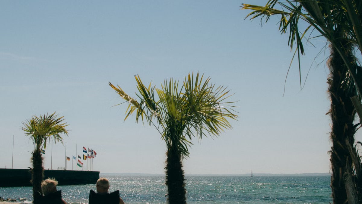 Elderly couple enjoys a sunny day at Helsingborg beach with palm trees and ocean view.