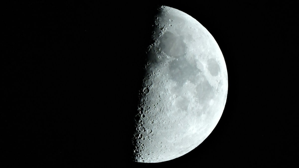 A half moon is seen in the dark sky